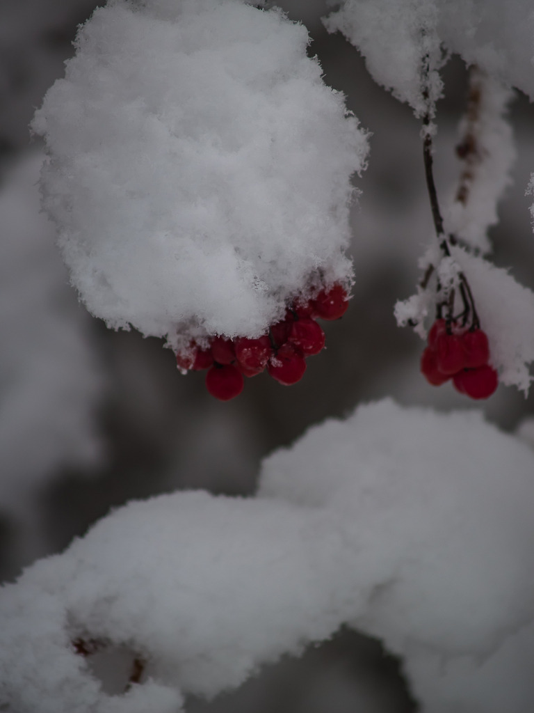 PSX_20230206_224655 | OLYMPUS DIGITAL CAMERA - Realisiert mit Pictrs.com