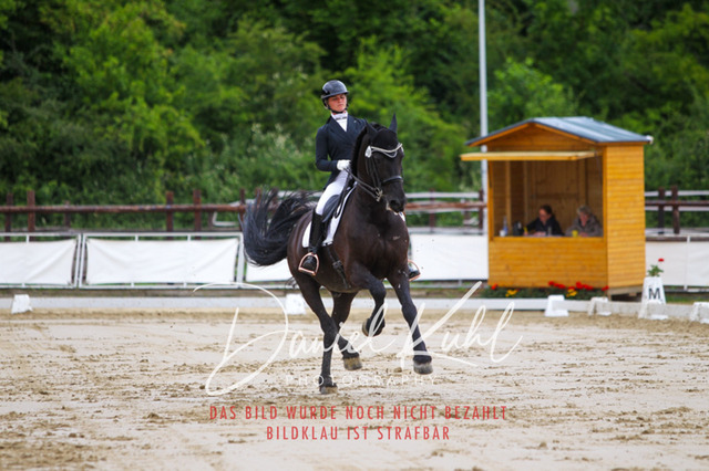 DKP47466 | Turniersportfotografie; Pferdefotografie; Dressurfotografie