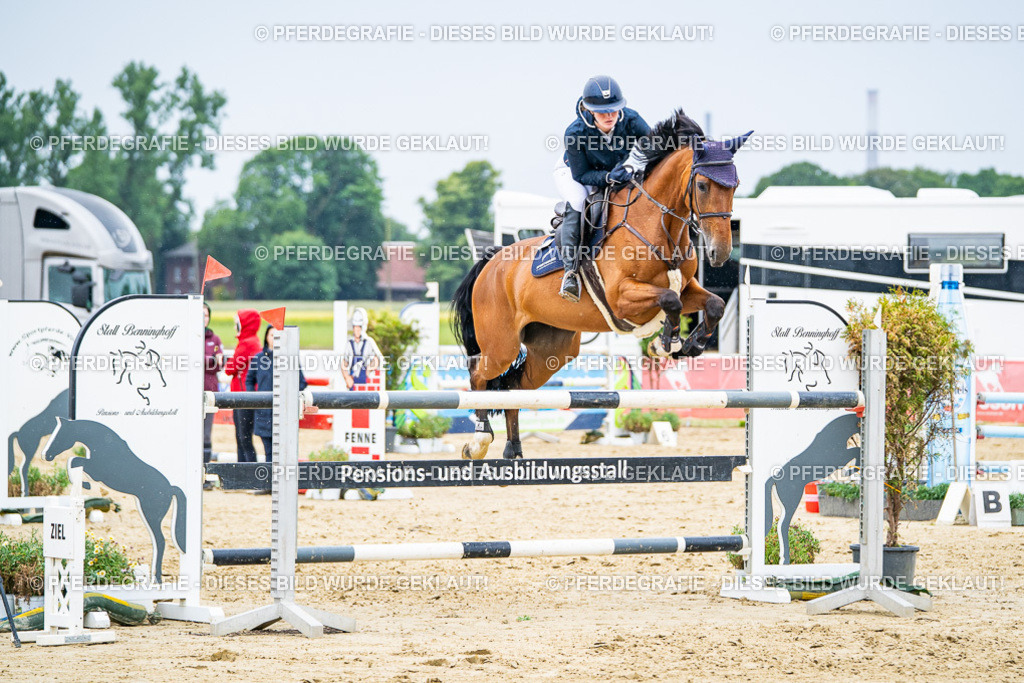 DSC07422 | Pferdegrafie