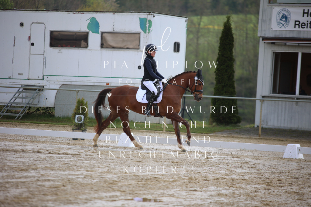 IMGT2264 | pl-fotografie