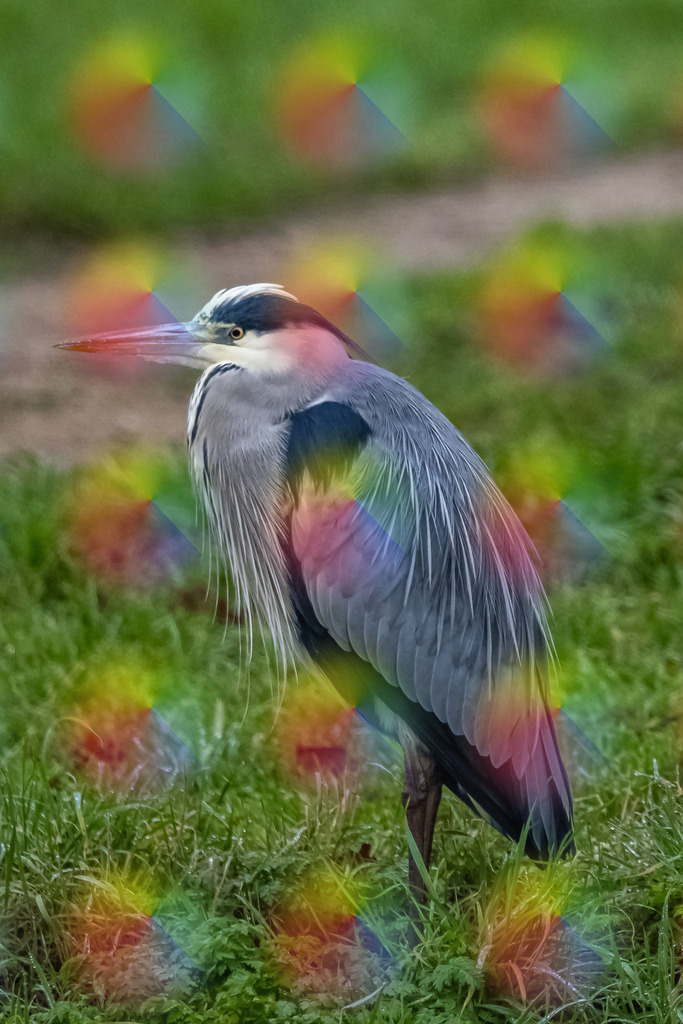 1M5A0200 | FineArtPrint, Hahnemühle, FeeGalerie, Fee Galerie, Fotokunst, Fotografie, Canonphotography, Bergfoto, Matterhorn, Rimpfischhorn, Allalinhorn, Saas-Fee, Wallis, Valais, Switzerland, Bergfotografie
