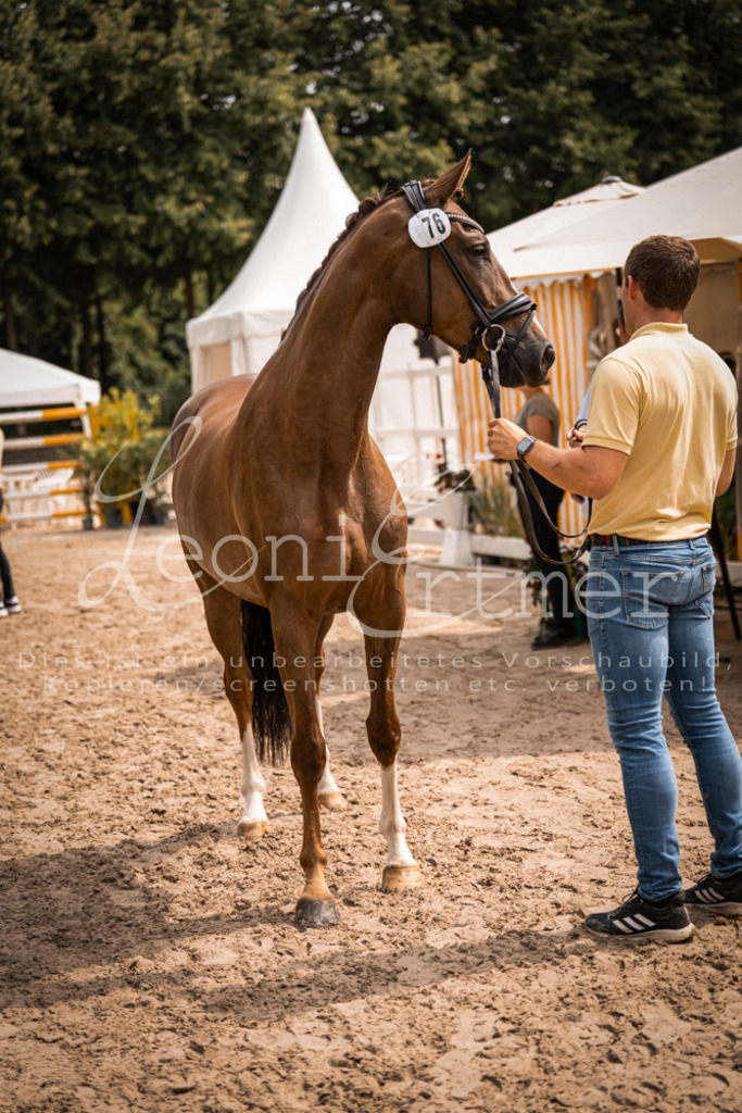 4.Fr00206 | Leoni Ertmer Photography - Realisiert mit Pictrs.com