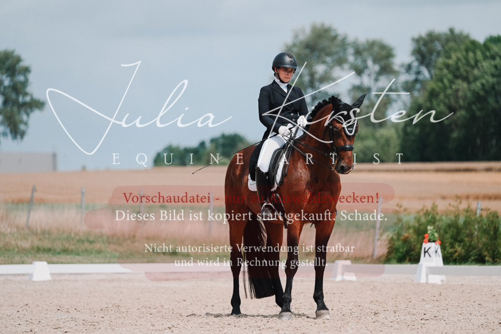 DSC_4354 | Pferde- und Turnierfotografie in Westsachsen. Pferdeportraits, Auftragszeichnungen und intuitive Kunst.