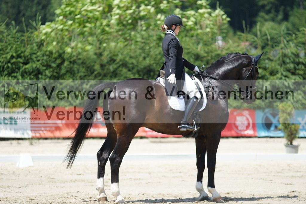 DSC05133 | equestrian-live-com