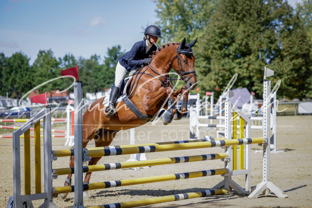 20250906-_3LI4250 | Tierfotografie Pferde, Hunde, Katzen, Haustiere.
Turnierfotografie Reitturniere, Reiten, Springreiten, Dressur in Hanau, dem Main-Kinzig-Kreis und dem Rhein-Main- Gebiet um Frankfurt