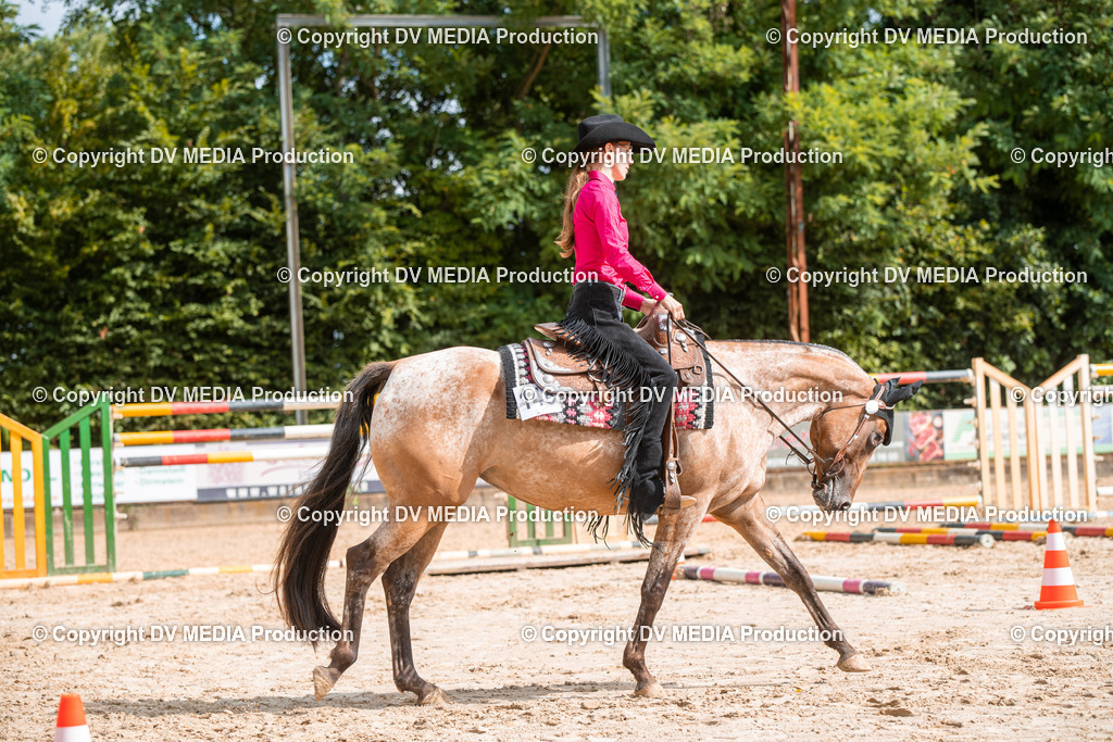 ZS3_9374 | dv-media-shop - Realisiert mit Pictrs.com