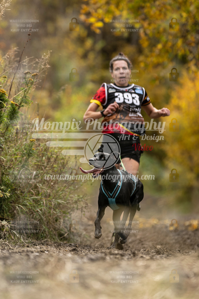 MompixPhotography_ICF_WC_2024_SA_Run_-347 | PayLife