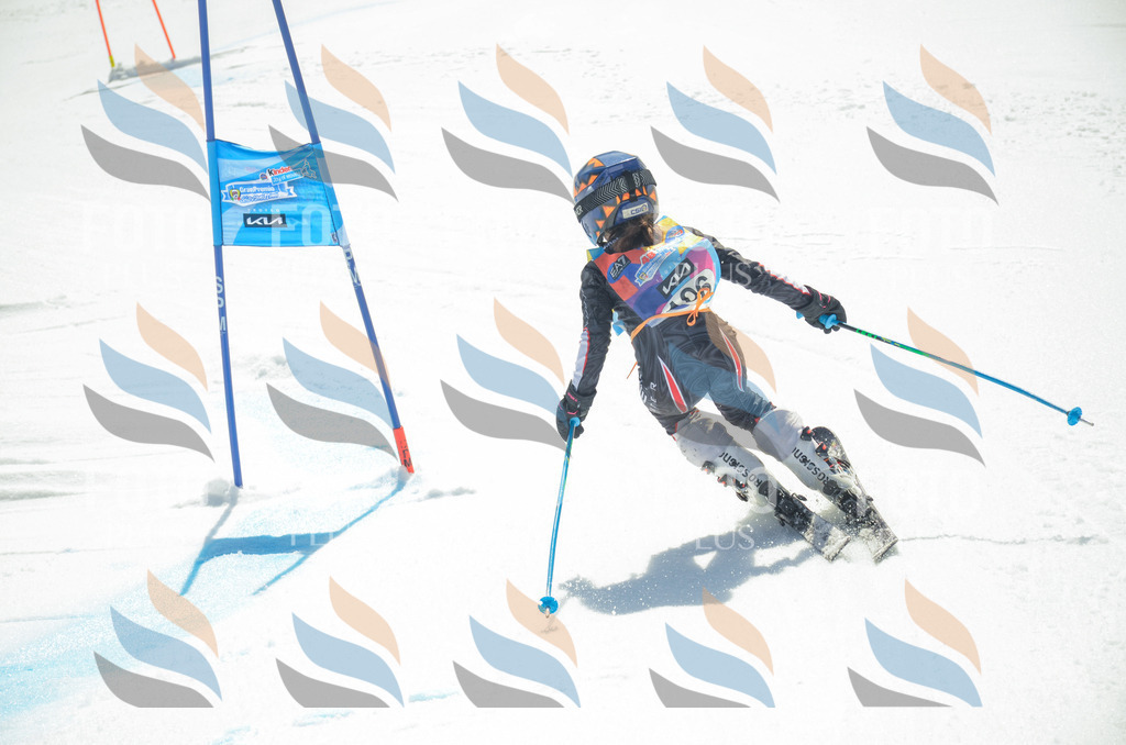 _ELE5849 | holidayphoto