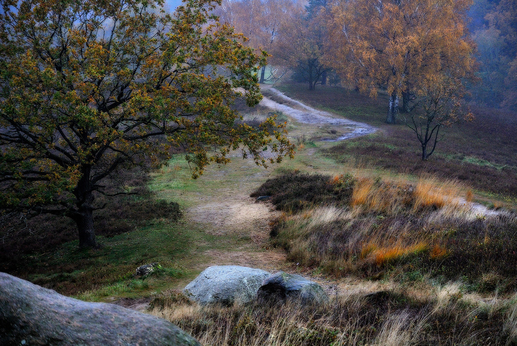 Herbsttraum | Boxberg im Aukrug, eiszeitlich geprägte, norddeutsche Landschaft - Realisiert mit Pictrs.com