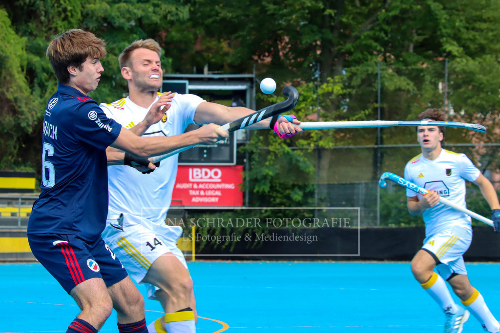 Bundesliga Herren Havestehuder THC - Mannheimer HC 14.09.24 Hamburg_39 | lanaschraderfotografie - Realisiert mit Pictrs.com