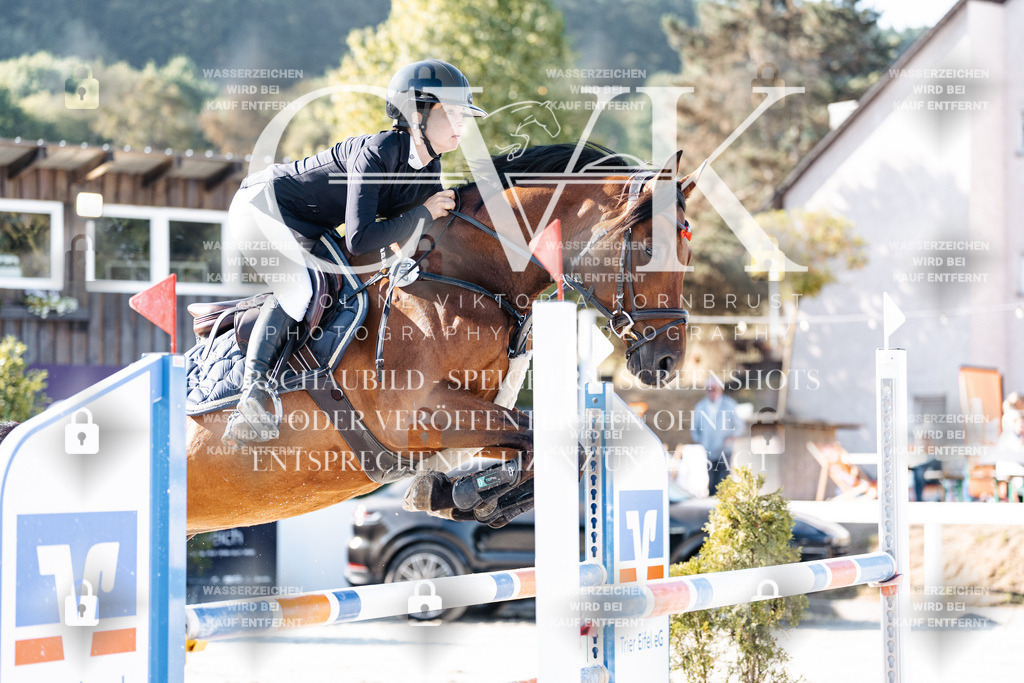 CK904265 | Turnierfotografie Pferdefotografie Trier Rheinland-Pfalz Pferdesport Reitsport Tierfotografie Sportfotografie Pferdevideo Pferdevideografie Equestrianvideography equestrianphotography  - Realisiert mit Pictrs.com