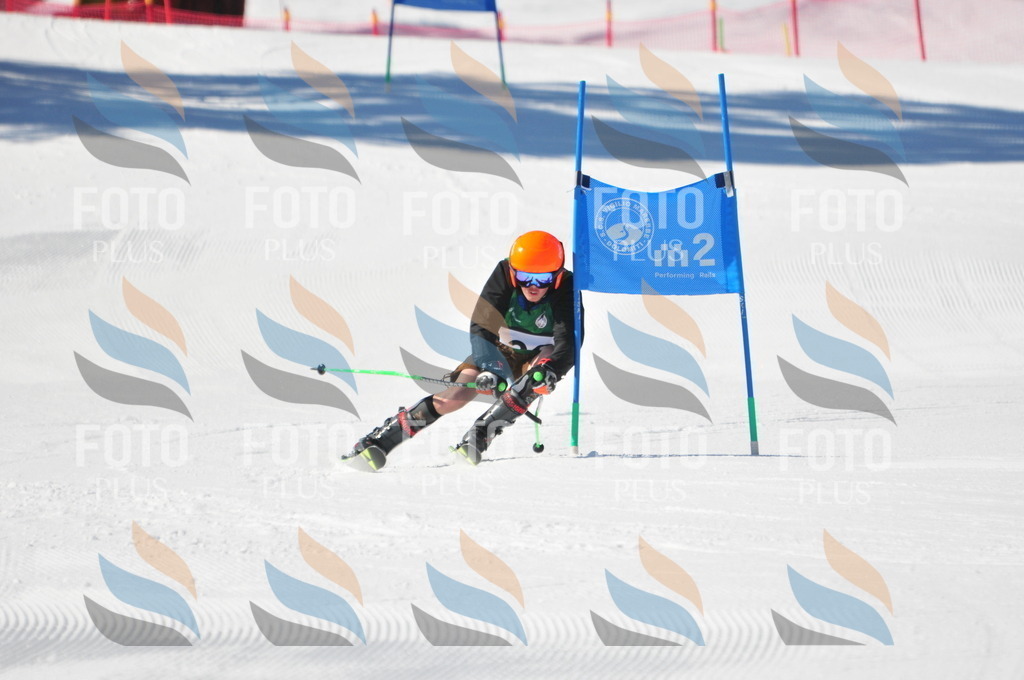 C3840 | holidayphoto