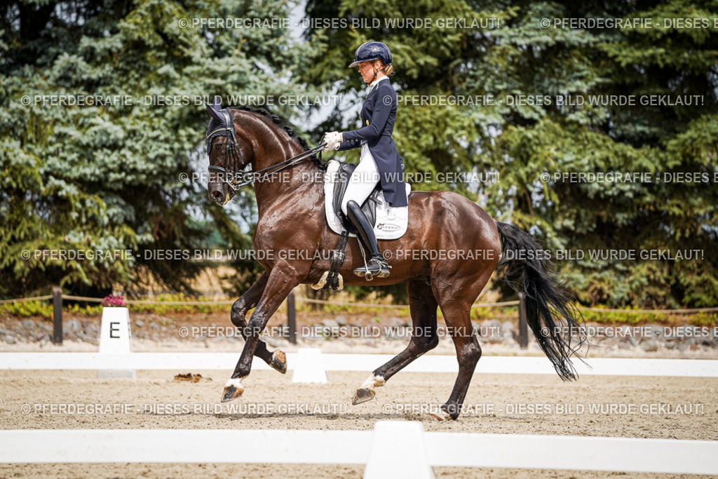 DSC06031 | Pferdegrafie