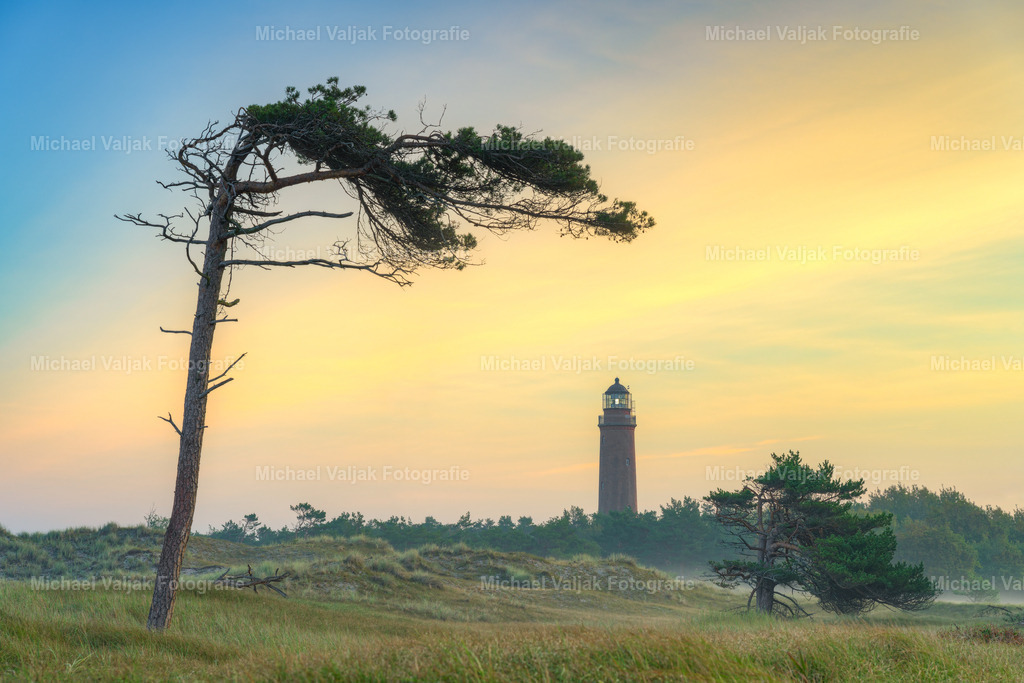 Windflüchter beim Leuchtturm Darßer Ort | An der Küste am Darßwald im Westen der Halbinsel Fischland-Darß-Zingst findet man vereinzelte Bäume, die aufgrund ihrer durch den Wind verursachten Schräglage auch als Windflüchter bezeichnet werden. Dieser Baum ist besonders fotogen, da auch der Leuchtturm Darßer Ort mit im Bild ist. Es ist nur noch eine Frage der Zeit, bis dieser Baum wie viele andere den Naturgewalten weichen muss. - Realisiert mit Pictrs.com