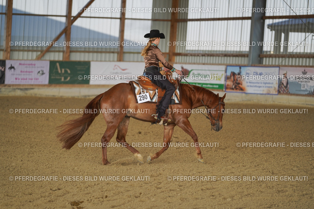 DSC08761 | Pferdegrafie