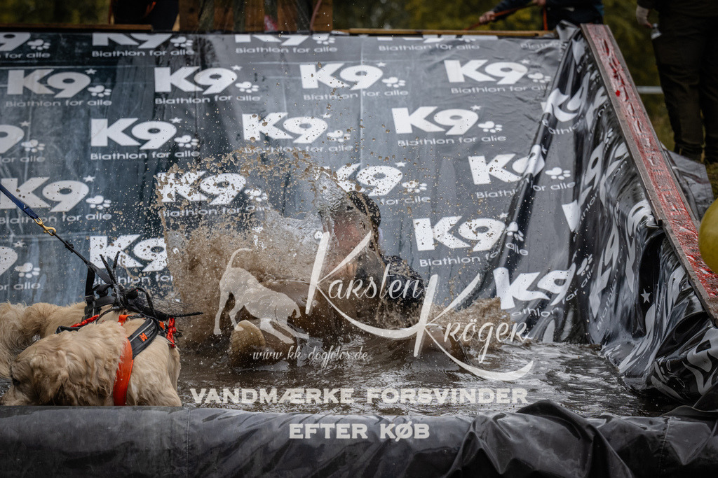 1202_ZZ94116 | kk-dogfotos