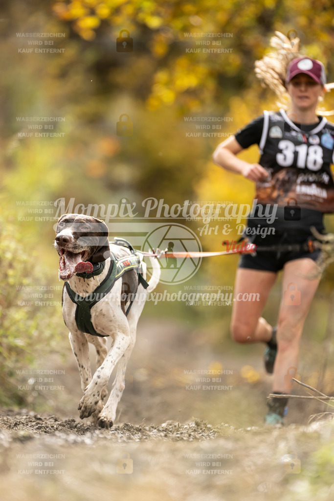 MompixPhotography_ICF_WC_2024_SA_Run_-176 | PayLife
