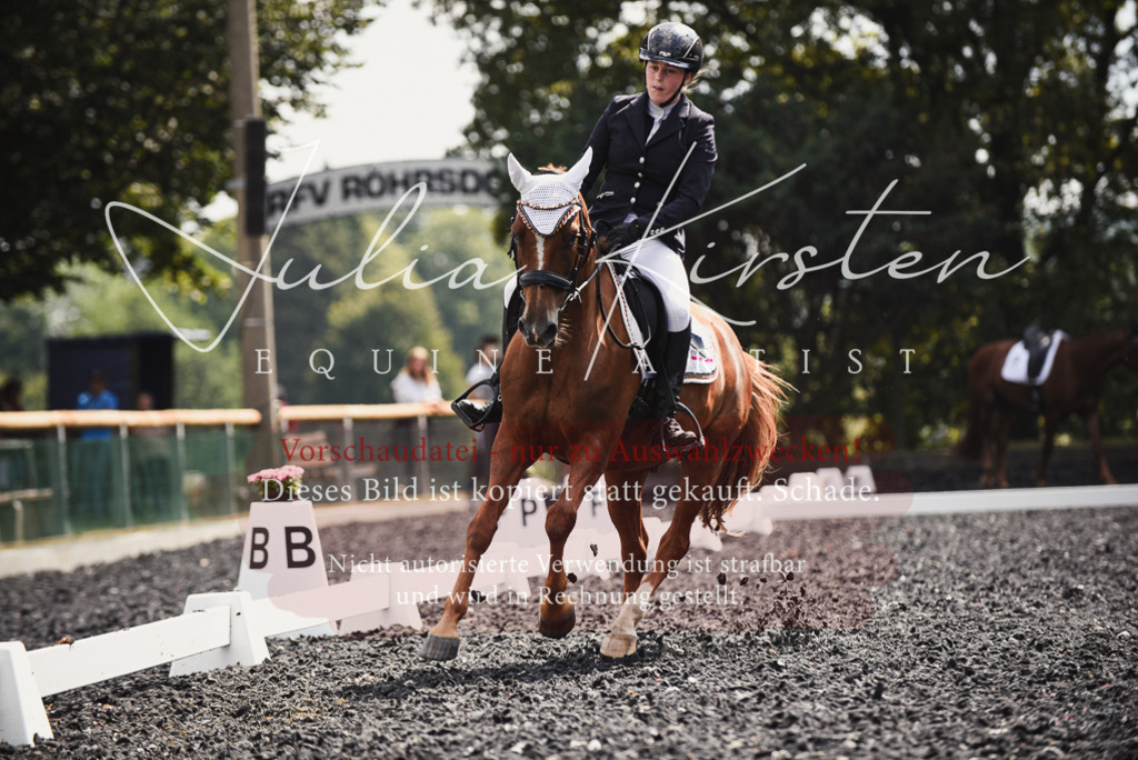 DSC_4237 | Pferde- und Turnierfotografie in Westsachsen. Pferdeportraits, Auftragszeichnungen und intuitive Kunst.