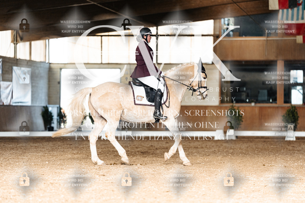 CK902662 | Turnierfotografie Pferdefotografie Trier Rheinland-Pfalz Pferdesport Reitsport Tierfotografie Sportfotografie Pferdevideo Pferdevideografie Equestrianvideography equestrianphotography  - Realisiert mit Pictrs.com