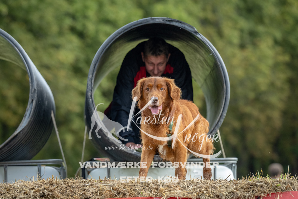 1037_ZZ92665 | kk-dogfotos