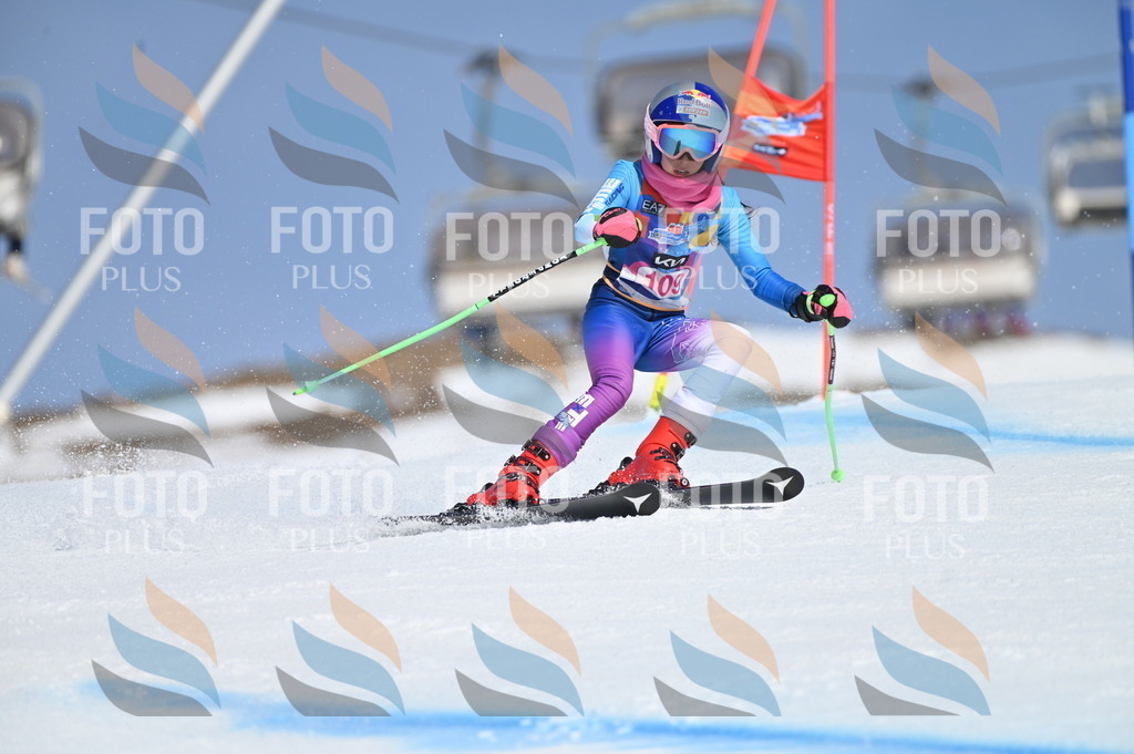 BGV_9616 | holidayphoto