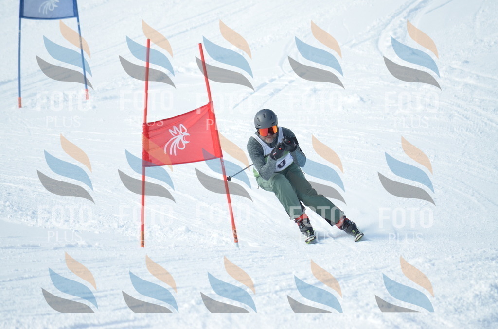 D9041 | holidayphoto