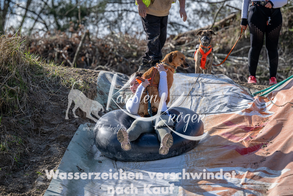 1502_ZZ90643 | kk-dogfotos
