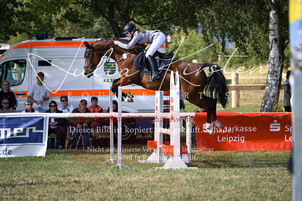 DSC_1343 | Pferde- und Turnierfotografie in Westsachsen. Pferdeportraits, Auftragszeichnungen und intuitive Kunst.