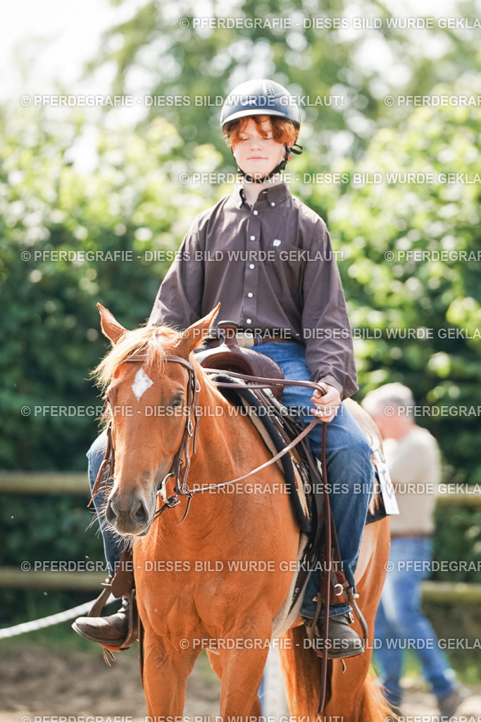 DSC04787 | Pferdegrafie