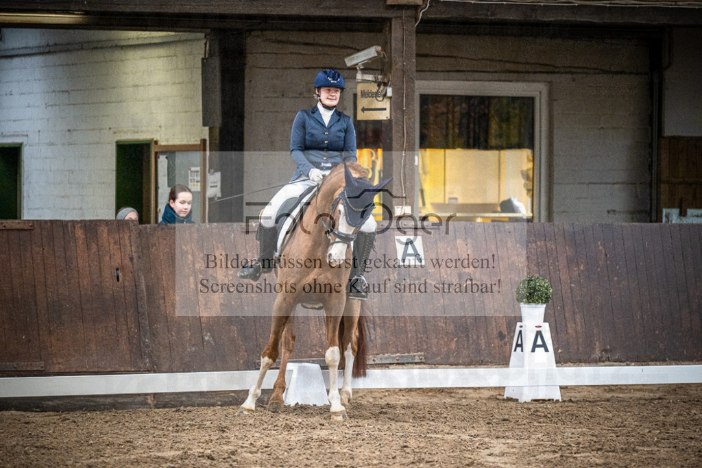 DOS_0436 | Entdecke hochwertige Reitturnierfotos von Foto Oger. Professionell, emotional und authentisch – jetzt Lieblingsmomente im Shop bestellen.Deutschlandweite Turnierfotografie. - Realisiert mit Pictrs.com