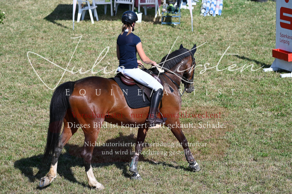 DSC_2015 | Pferde- und Turnierfotografie in Westsachsen. Pferdeportraits, Auftragszeichnungen und intuitive Kunst.