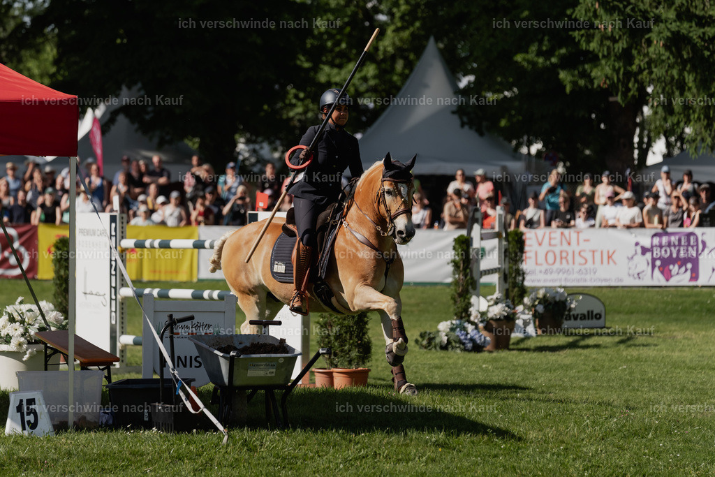 SIN00873 | Pferd International München 2025