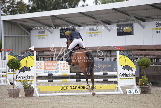 1J2A9421Lisa-Marie Bornhöft_ Coda C_ Kn252_ Havekost | Foto- und Videografie für alles rund ums Pferd. Hochwertige Bilder und Videos vom Spring- und Dressurreiten, Voltigieren & mehr. Jetzt aktuelle Veranstaltungen und Preise im Shop ansehen. - Realisiert mit Pictrs.com