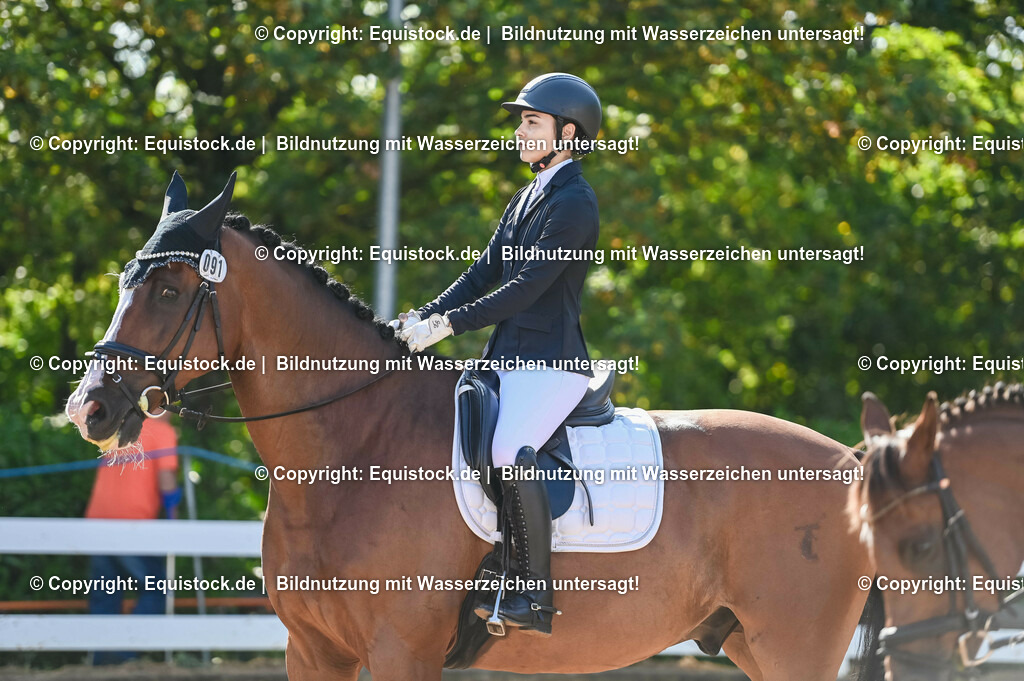 20230716_04_Dressurreiterprüfung Kl.A_0133 | equistock
