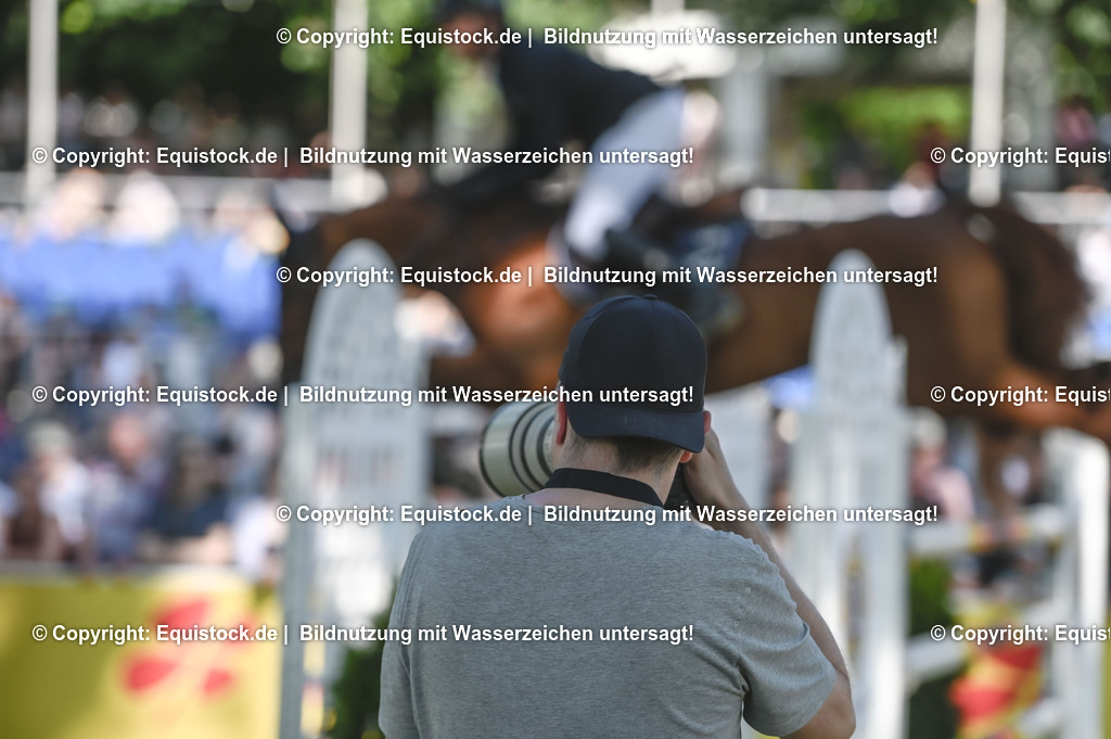 D78_3602 | equistock