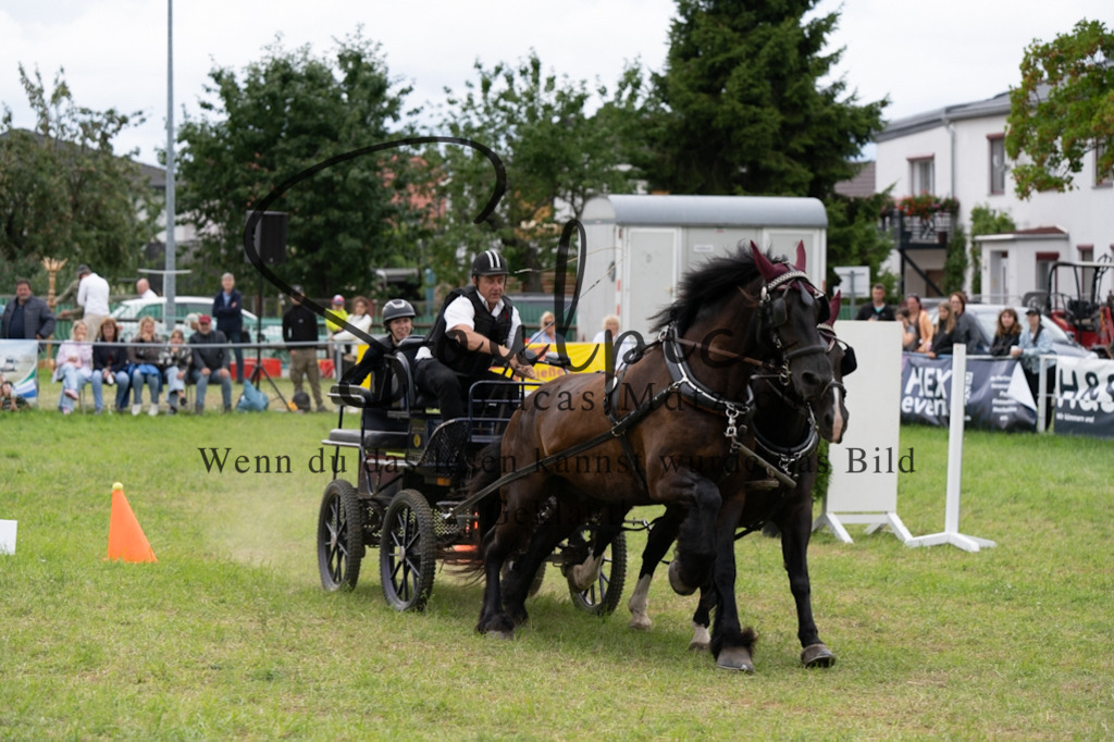 A7V06160 | Pferdefotograf