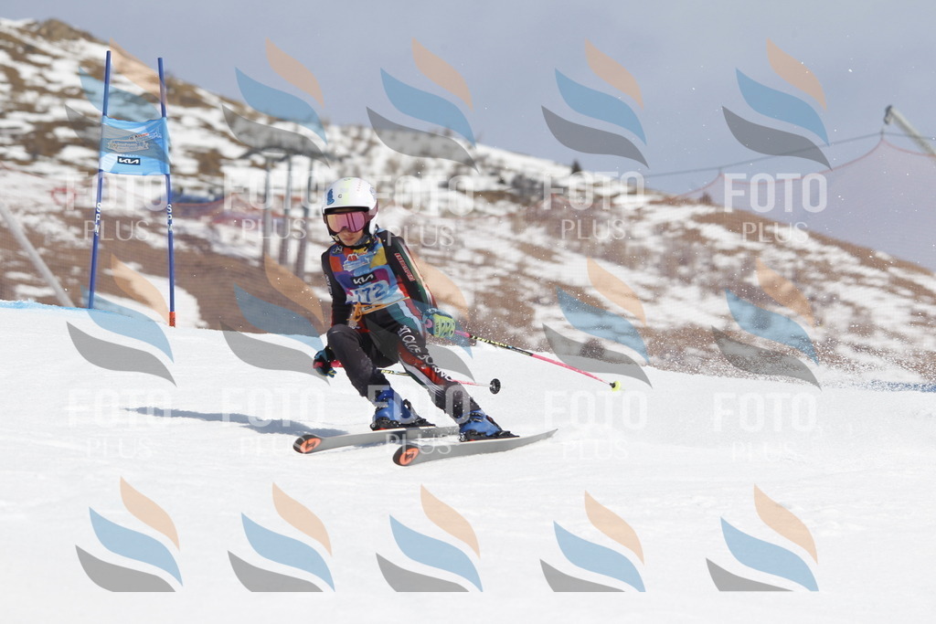 _U3G1582 | holidayphoto