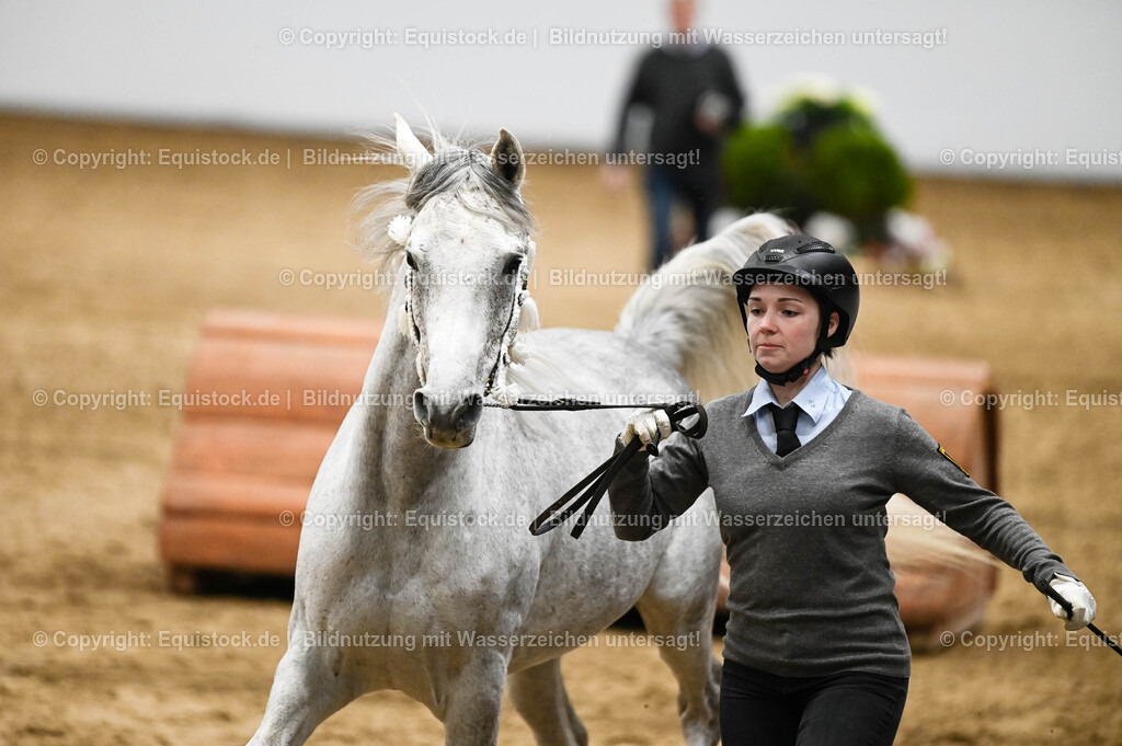 20260307_Hengstvorstellung-Marbach_0411 | equistock