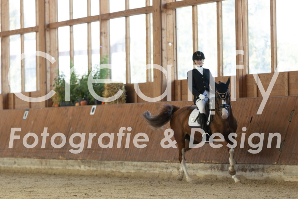 IMG_9583 | Creatify Fotografie