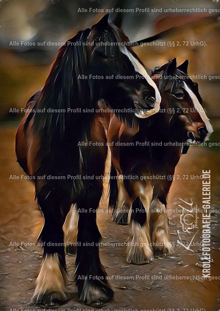 Photo_1710292533297 | krollfotografie - Realized with Pictrs.com