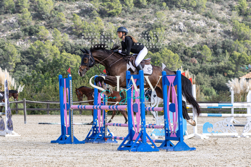 IMG_3591 | s-jay-photography - Realisiert mit Pictrs.com