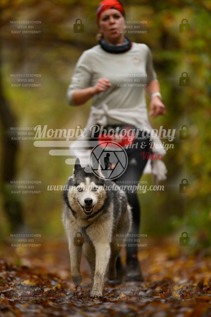 MompixPhotography_CD7S_DI_CCL-116 | mompixphotography