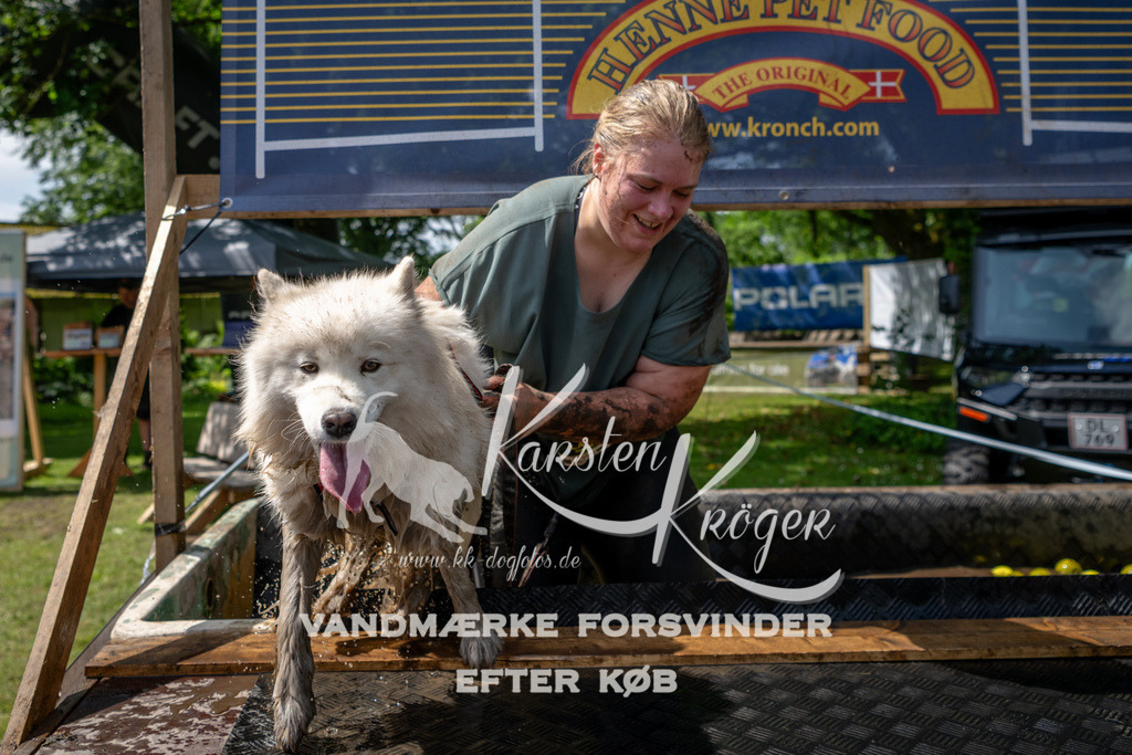 1148_ZZ94987 | kk-dogfotos