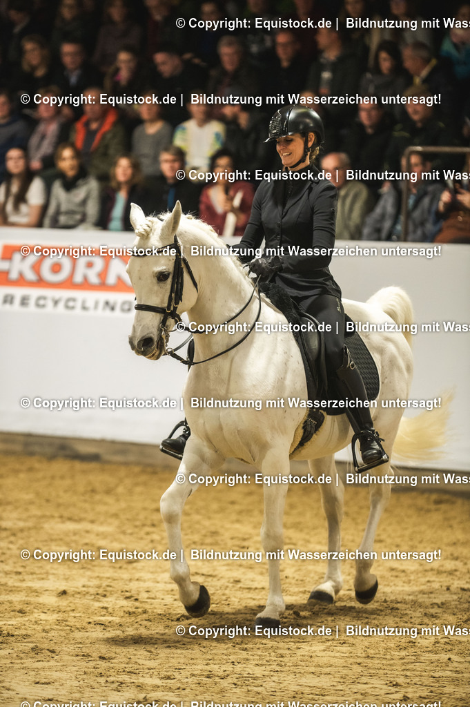 20240302_Hengstvorstellung_Marbach_TOMsPiC_1083 | equistock