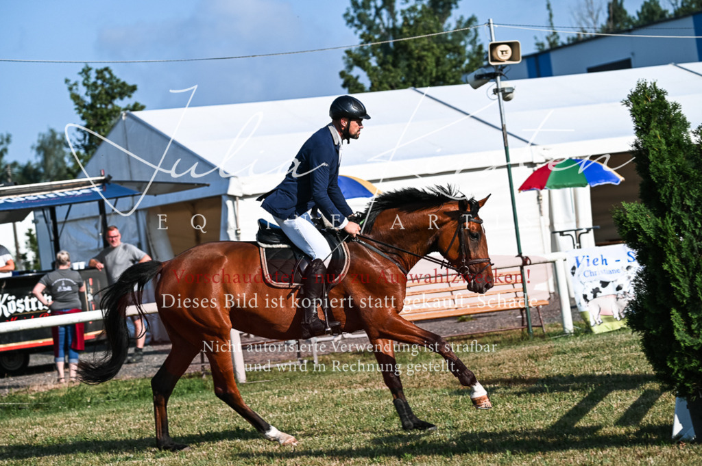DSC_7413 | Pferde- und Turnierfotografie in Westsachsen. Pferdeportraits, Auftragszeichnungen und intuitive Kunst.