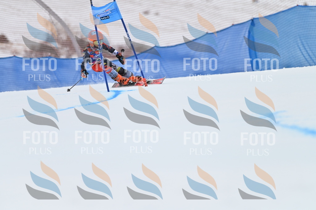 BGV_9312 | holidayphoto