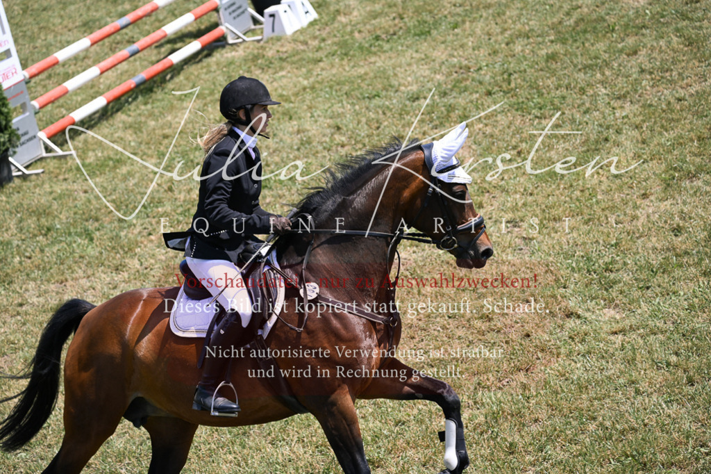DSC_9885 | Pferde- und Turnierfotografie in Westsachsen. Pferdeportraits, Auftragszeichnungen und intuitive Kunst.