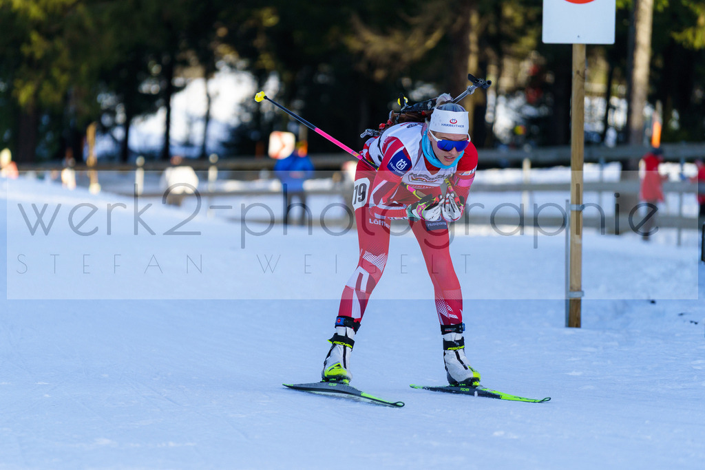 DP Oberwiesenthal | Alpencup/DP Deutschlandpokal in Oberwiesenthal am 15.-17.12.2023