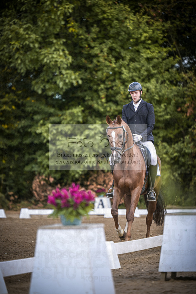 DOS_0471 | Entdecke hochwertige Reitturnierfotos von Foto Oger. Professionell, emotional und authentisch – jetzt Lieblingsmomente im Shop bestellen.Deutschlandweite Turnierfotografie. - Realisiert mit Pictrs.com