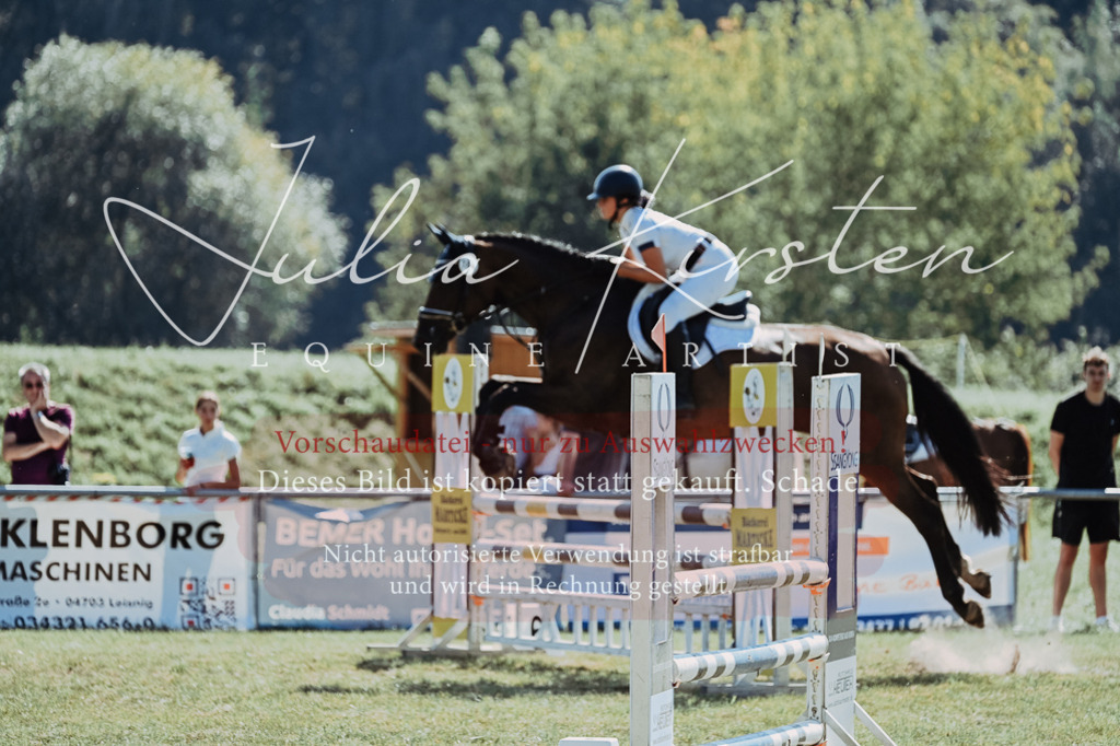 DSC_5968 | Pferde- und Turnierfotografie in Westsachsen. Pferdeportraits, Auftragszeichnungen und intuitive Kunst.